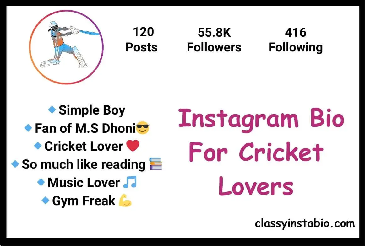 Instagram Bio For Cricket Lovers