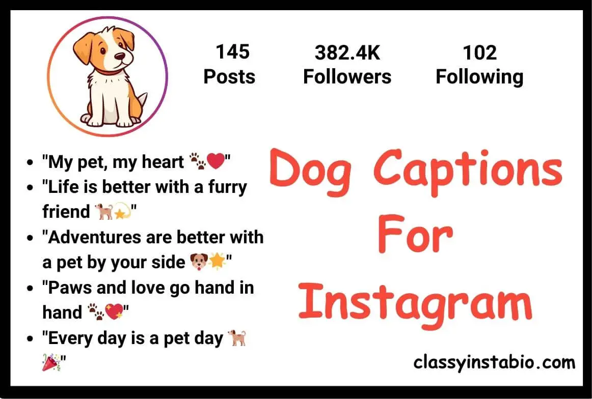 Dog Captions For Instagram