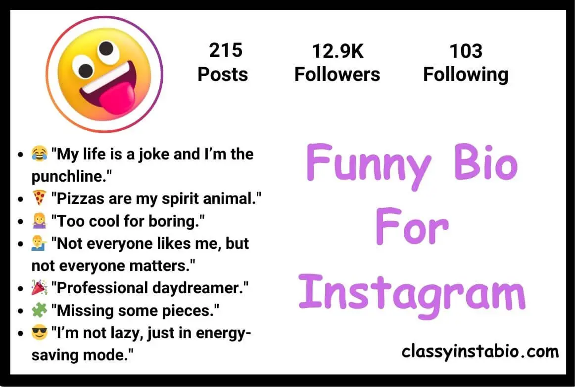 Funny Bio For Instagram