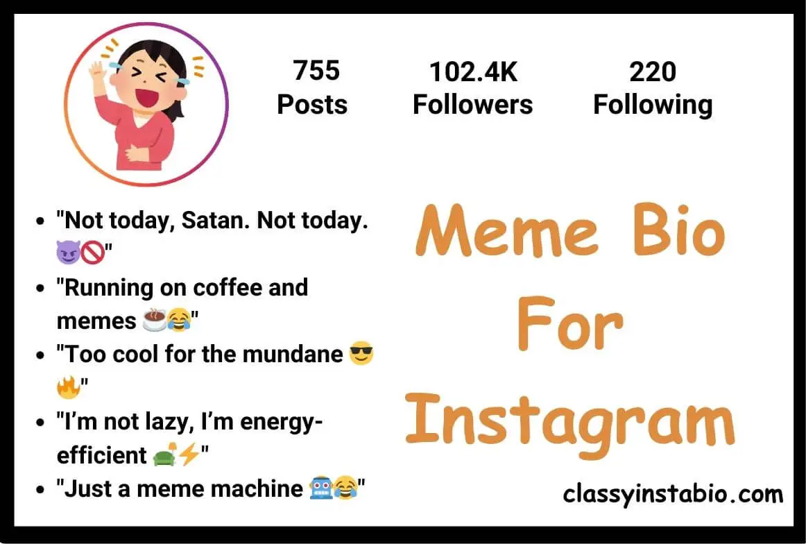 Meme Bio For Instagram