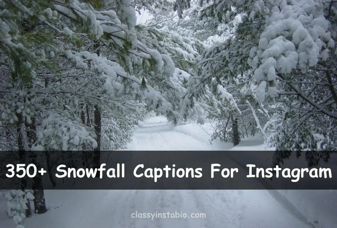 Snowfall Captions For Instagram